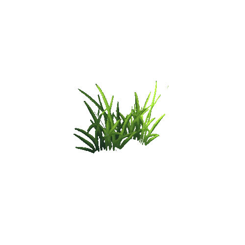 Grass Patch05